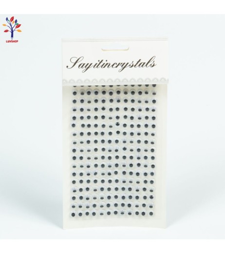 Craft accessories movable eyes
