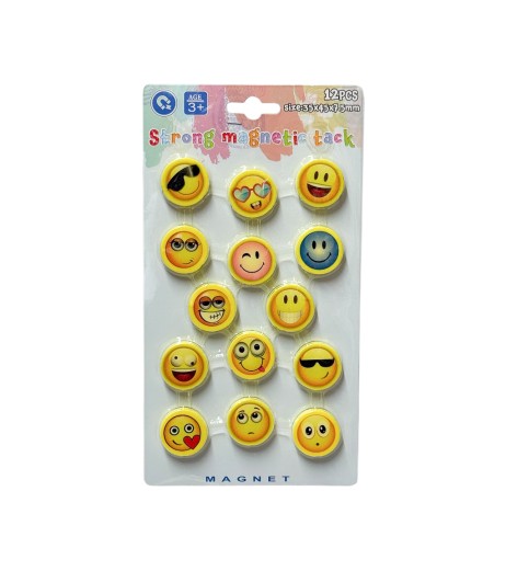Set of 14 Face magnets H0171