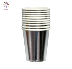 Pahare carton petrecere 10/set argintiu