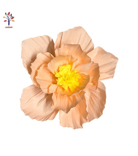 Apricot flower party decoration 4 pcs/set