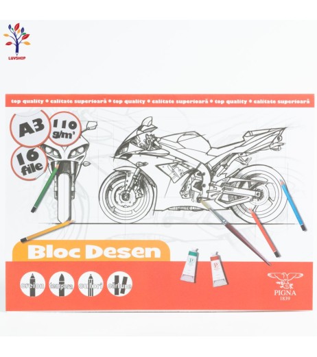 Bloc desen  PIGNA A3 110gr