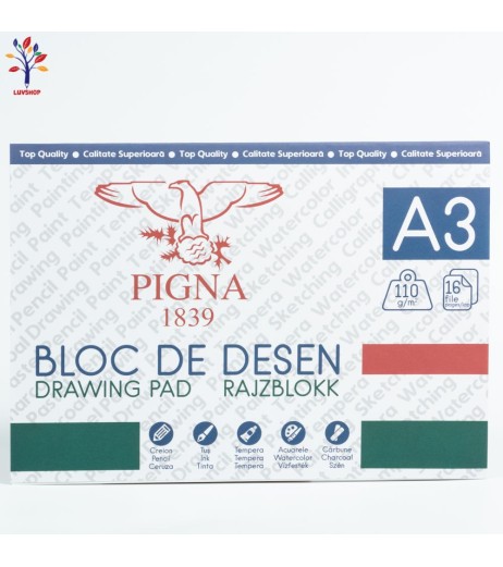 Bloc desen  PIGNA A3 110gr