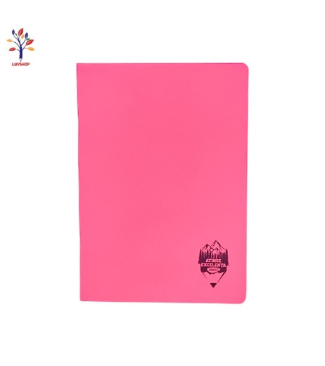 Caiet Daco A4 100f Dict cop pl col