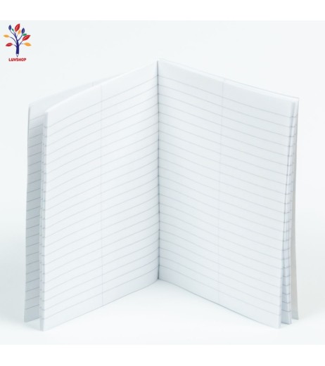 Caiet PIGNA vocabular 24f