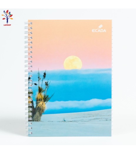 Caiet Ecada A5 80f cu spira Mate