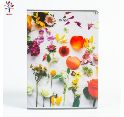 Caiet Ecada A4 100f Mate