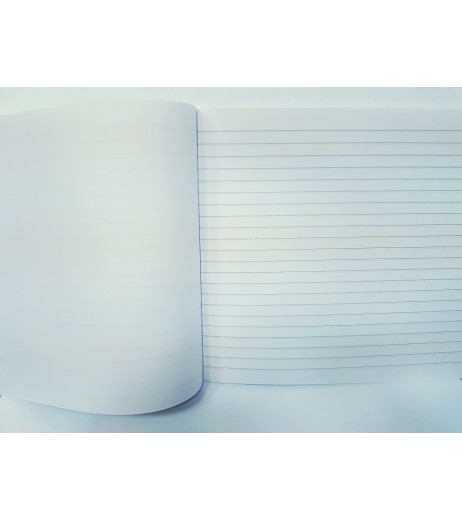 Caiet Ecada Geo A4 24f