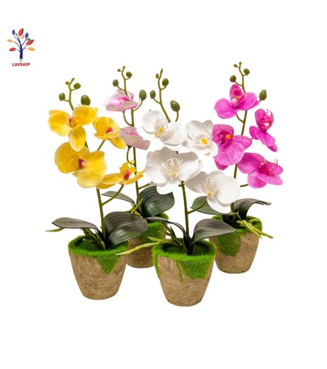 Decor flori in ghiveci orhidee (H=30cm)