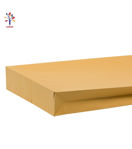 Plic B4 105947 10 buc/set